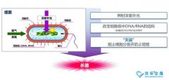 海信中央空調(diào)紫光盾殺菌模塊上市，健康技能加